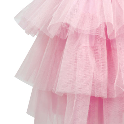 Portrait Tulle Dress in Pink